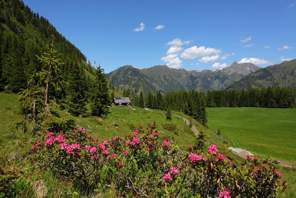 Naturhotel Huettenwirt Im Grossarltal 후트샬라그 외부 사진
