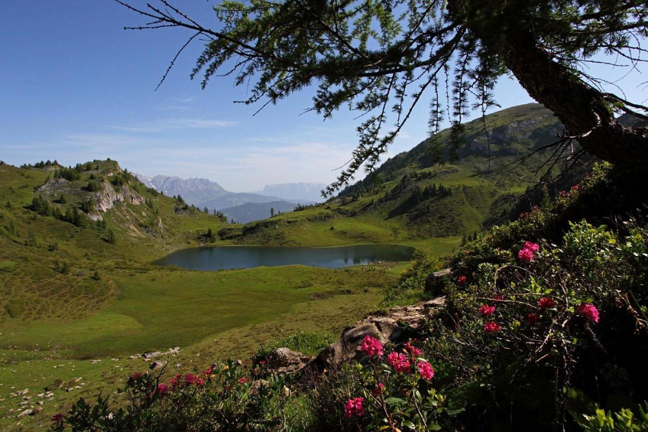 Naturhotel Huettenwirt Im Grossarltal 후트샬라그 외부 사진